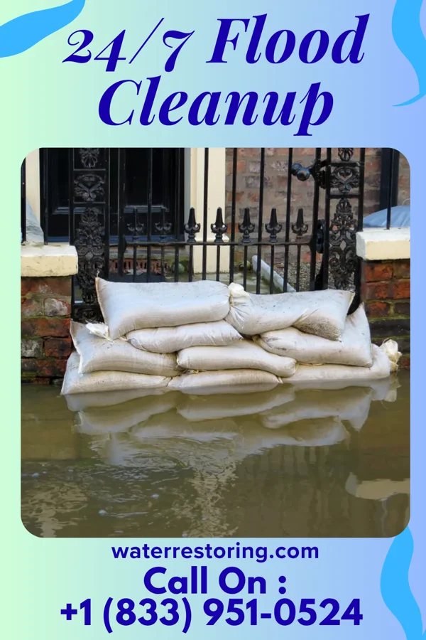 24/7 Flood Cleanup in Saginaw, MO