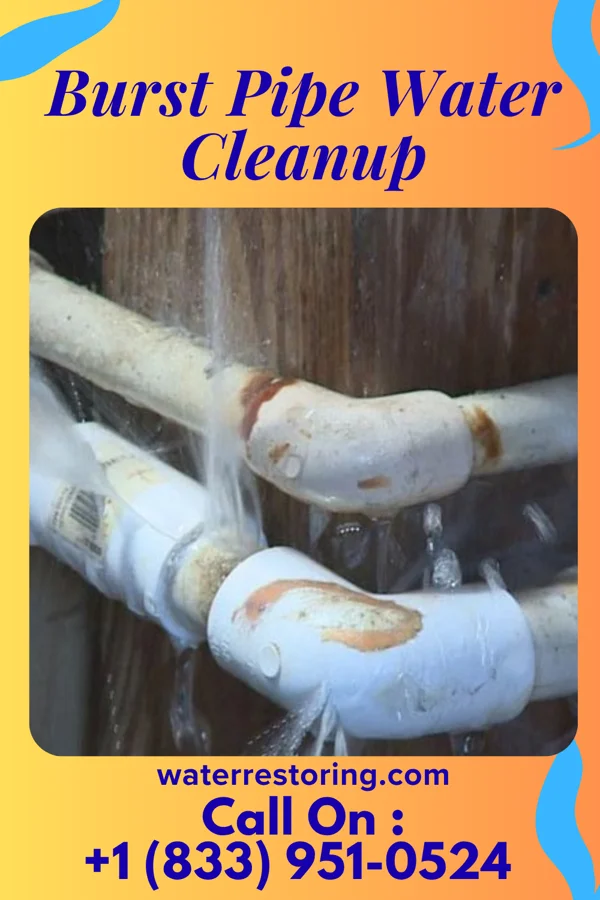 Burst Pipe Water Cleanup in Saginaw, MO