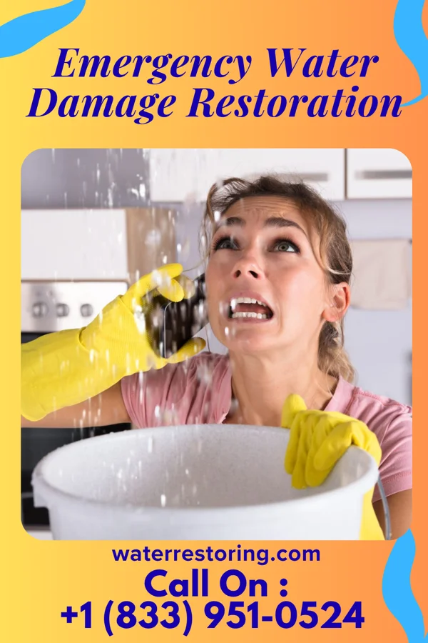Emergency Water Damage Restoration in Saginaw, MO