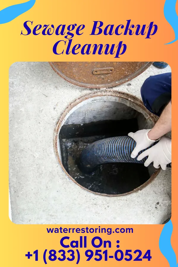 Sewage Backup Cleanup in Saginaw, MO