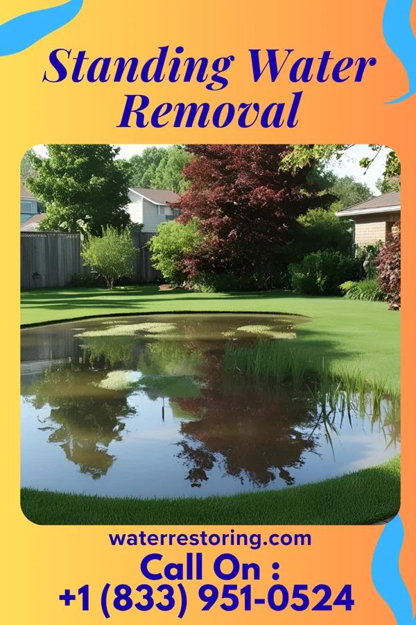 Standing Water Removal in Saginaw, MO